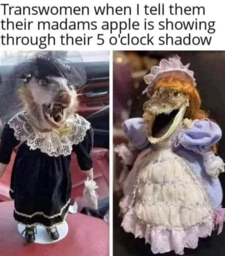 FB_IMG_1683215509138