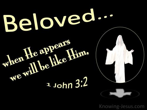 1 John 3-2 When He Appears We Shall Be Like Him black