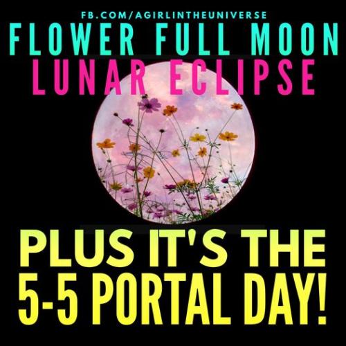 51cCp52jAWL._AC_AC_SR98,95_