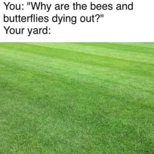 1683134017.00099