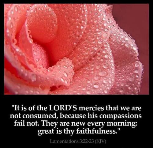 a68f5a52-aca1-4427-8201-22d65b6112ae