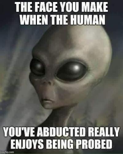 1683922952.0977402