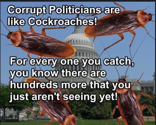 Screenshot_20230509_133837_Chrome