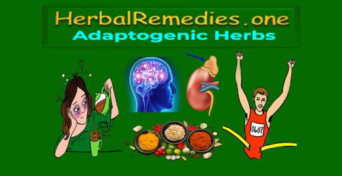 Herbalremedies.one - Adaptogenic Herbs