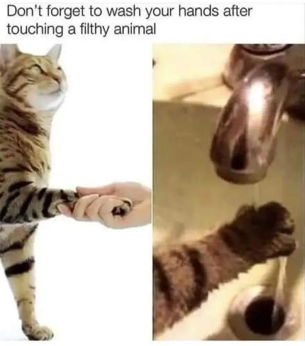 1684786338.984373