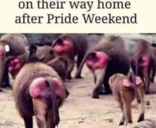 FB_IMG_1685032380702