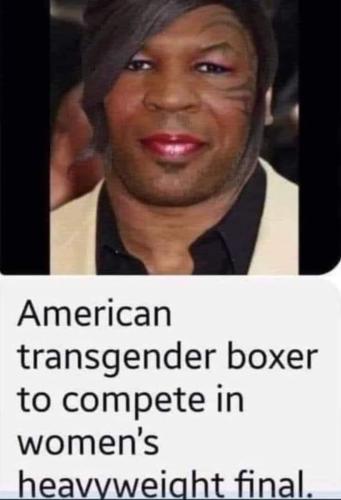 transgender boxer