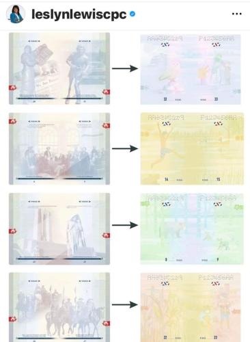 new passport pages