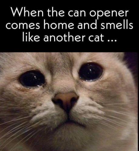 FB_IMG_1683825089910