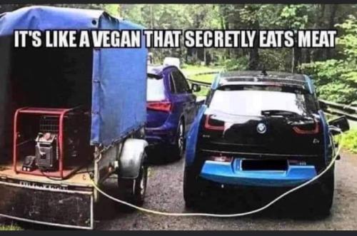 like a vegan