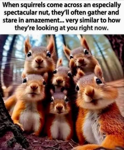 FB_IMG_1683591302981