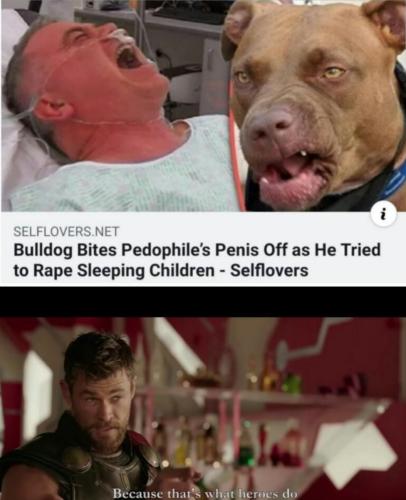 Screenshot_20230513_224102_Quora