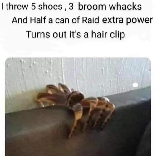 FB_IMG_1685055871229