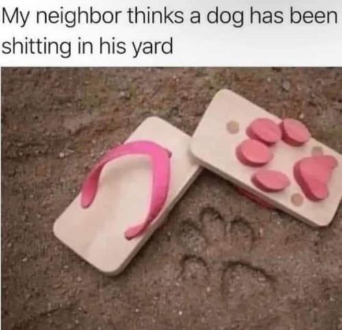 FB_IMG_1684942970859