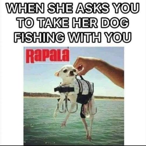 FB_IMG_1685125041910