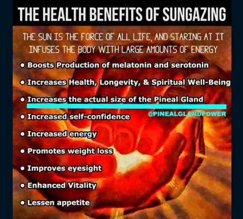 Screenshot_20230506_173022_Rumble