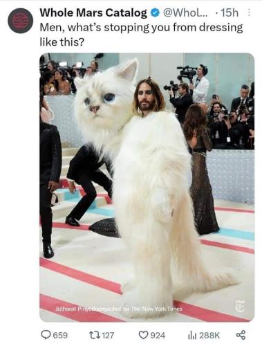 FB_IMG_1683118596705