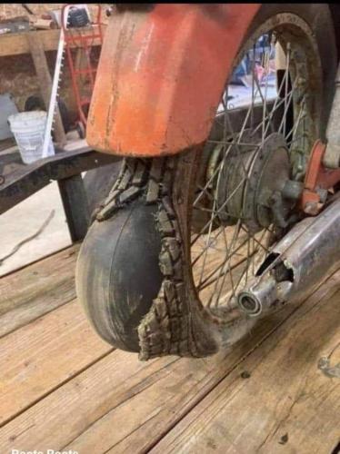 FB_IMG_1683141006113