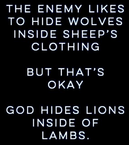 IMG_20230511_234746_006