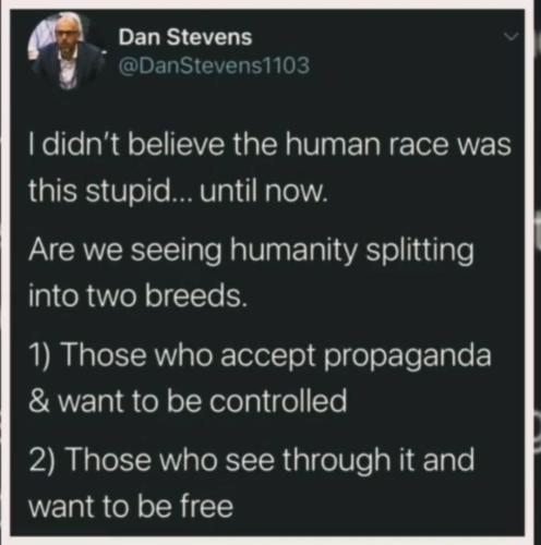 Screenshot_20230519_202830_Rumble