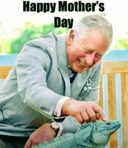 IMG_20230515_041232_585