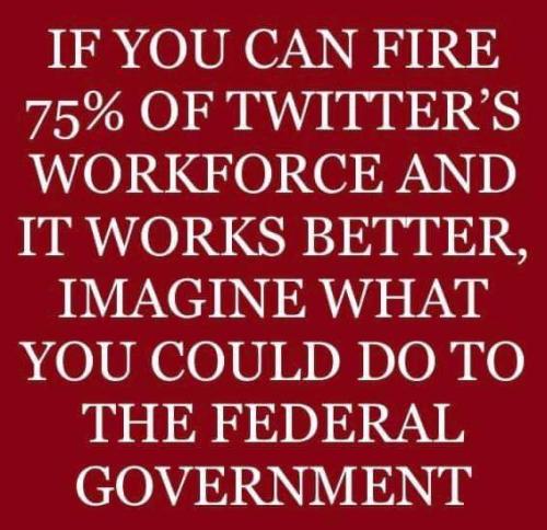 FB_IMG_1684206068903