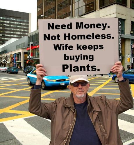 346613043_141577325477952_7596187474157085853_n