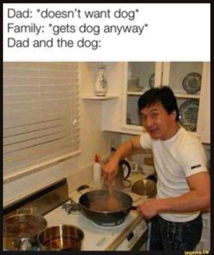 FB_IMG_1682886358658