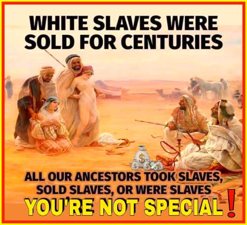 SLAVERY is not RACIST