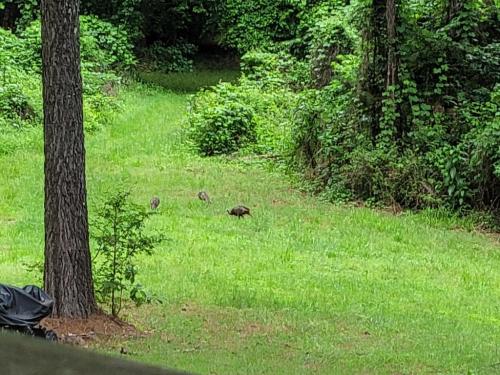 3c3a9437-c5e6-40fa-9525-119188c3b1a8