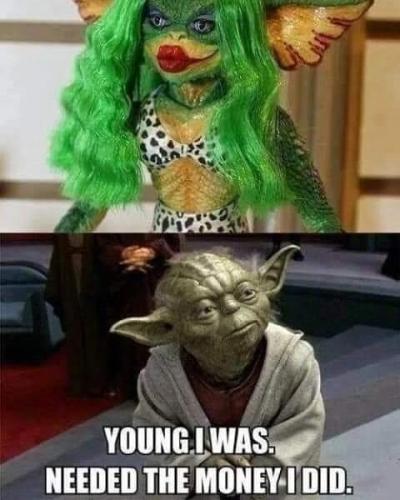 FB_IMG_1683231379813