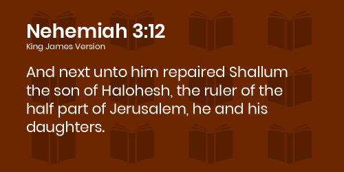 Nehemiah 3_12