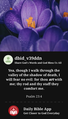 2023-05-041683226980051