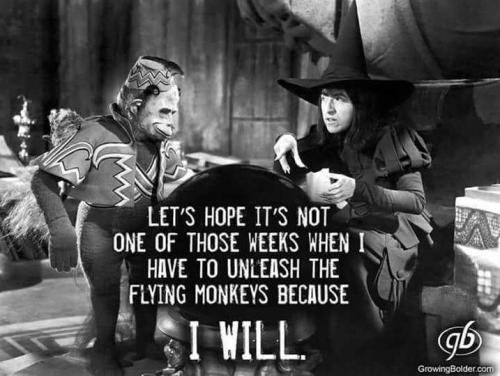 354560600_6906395789390673_8115965353028652081_n