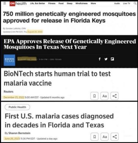 Bill Gates's Sinister Scheme to Depopulate Republican states using GMO Mosquitos