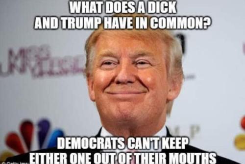 FB_IMG_1687876700922