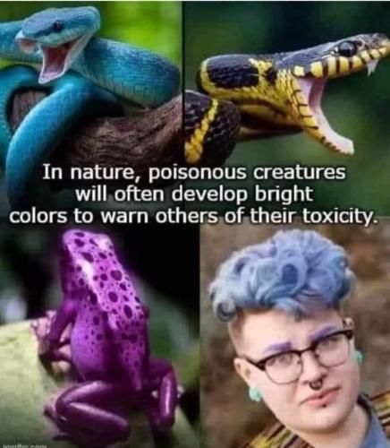 fee21015-4e90-417e-afdf-8899ef17f36e