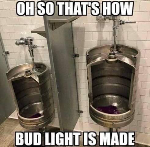 FB_IMG_1686185236737