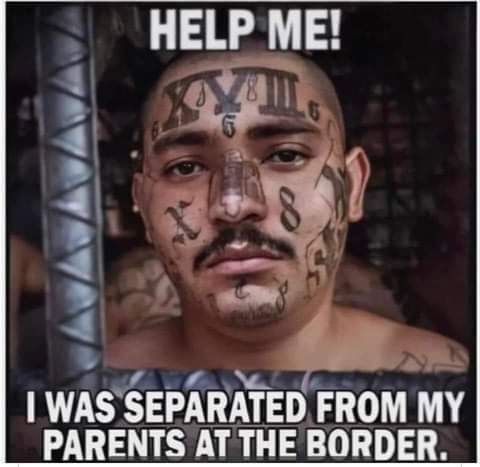 FB_IMG_1686162099146