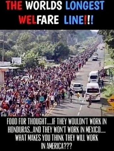 illegal immigration332