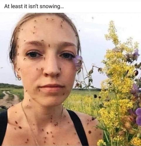 at least it isnt snowing