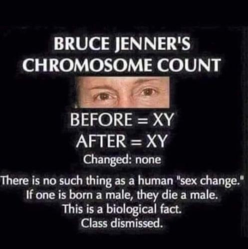 FB_IMG_1686066101810