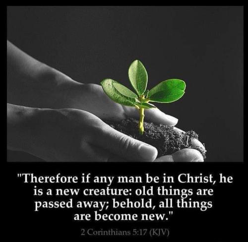 30e90bf8-797b-421d-9e2f-52d3bbc2ae22