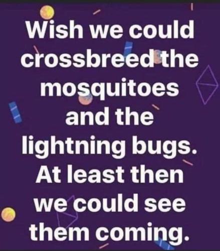 FB_IMG_1688155113900