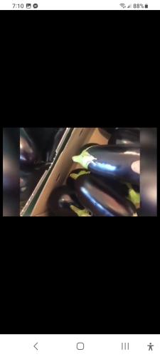 Screenshot_20230615_071014_Messenger