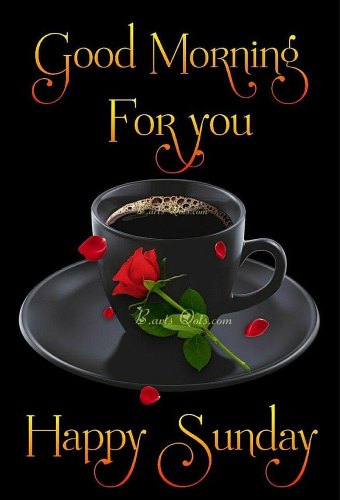 Good Morning - Happy Sunday