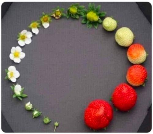 IMG_20230531_204528_566