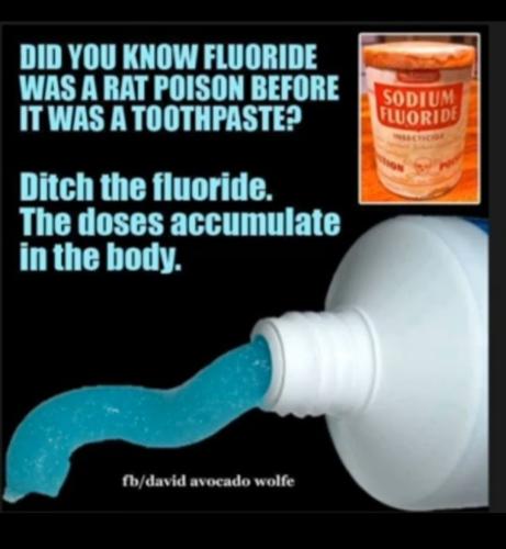 Screenshot_20230606_203546_Photos