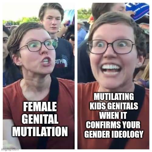 gender ideology