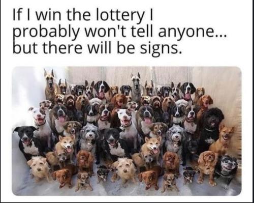 Screenshot_20230602_201018_Chrome